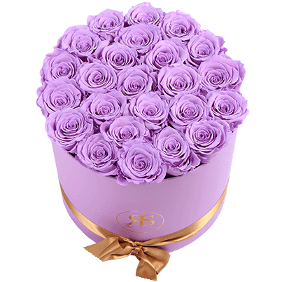 Flowerbox longlife Aaliyah violet - Rosuz