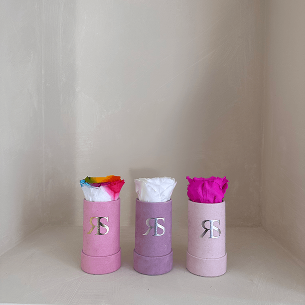 3 pack Flowerbox Rosuz - all